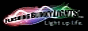 flashingblinkylights.com